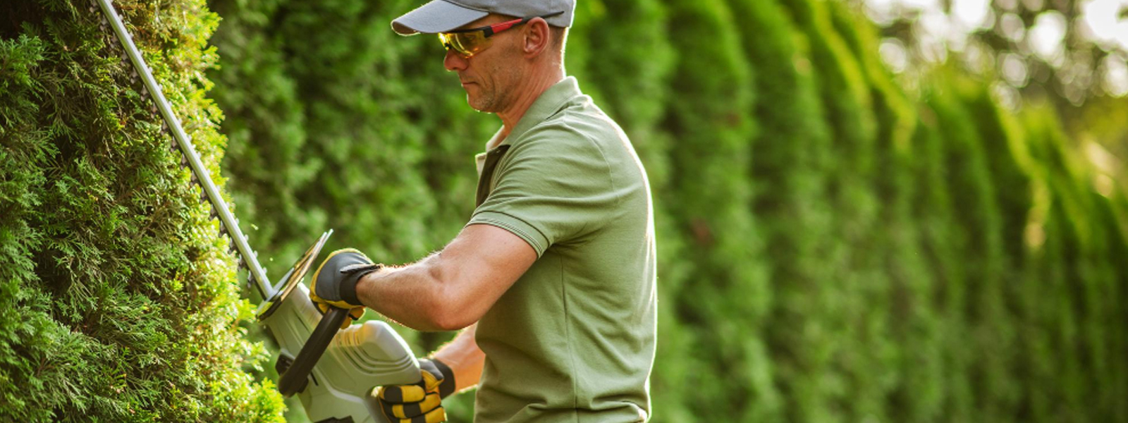 Élagage et paysagisme à Merville